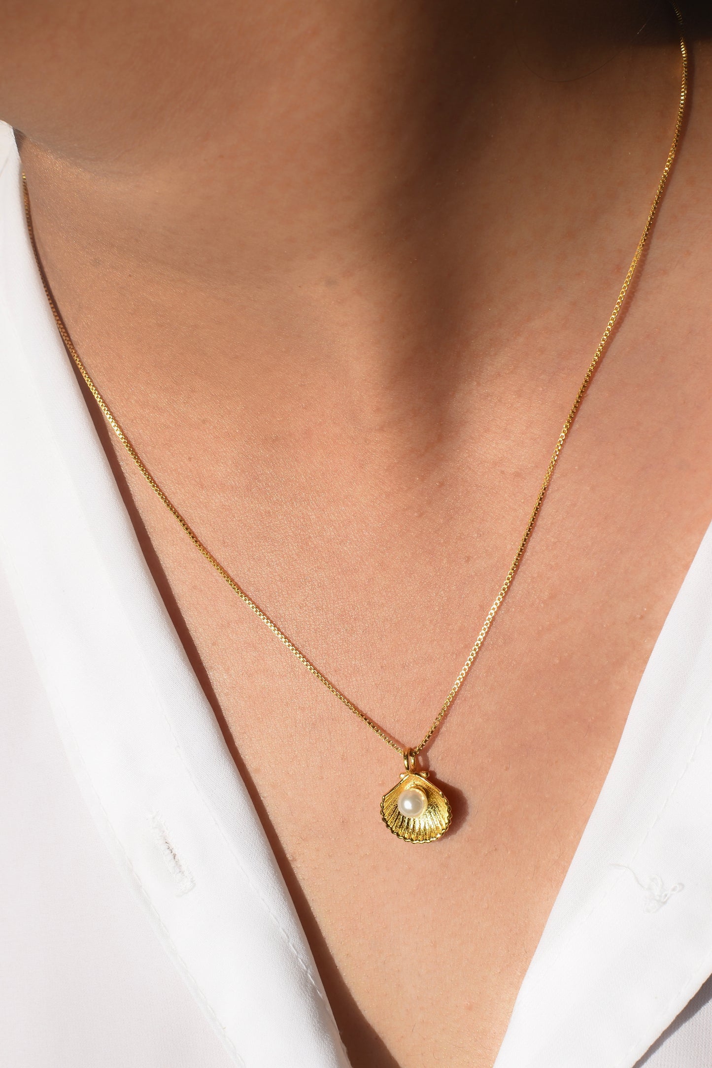 sea shell pendant