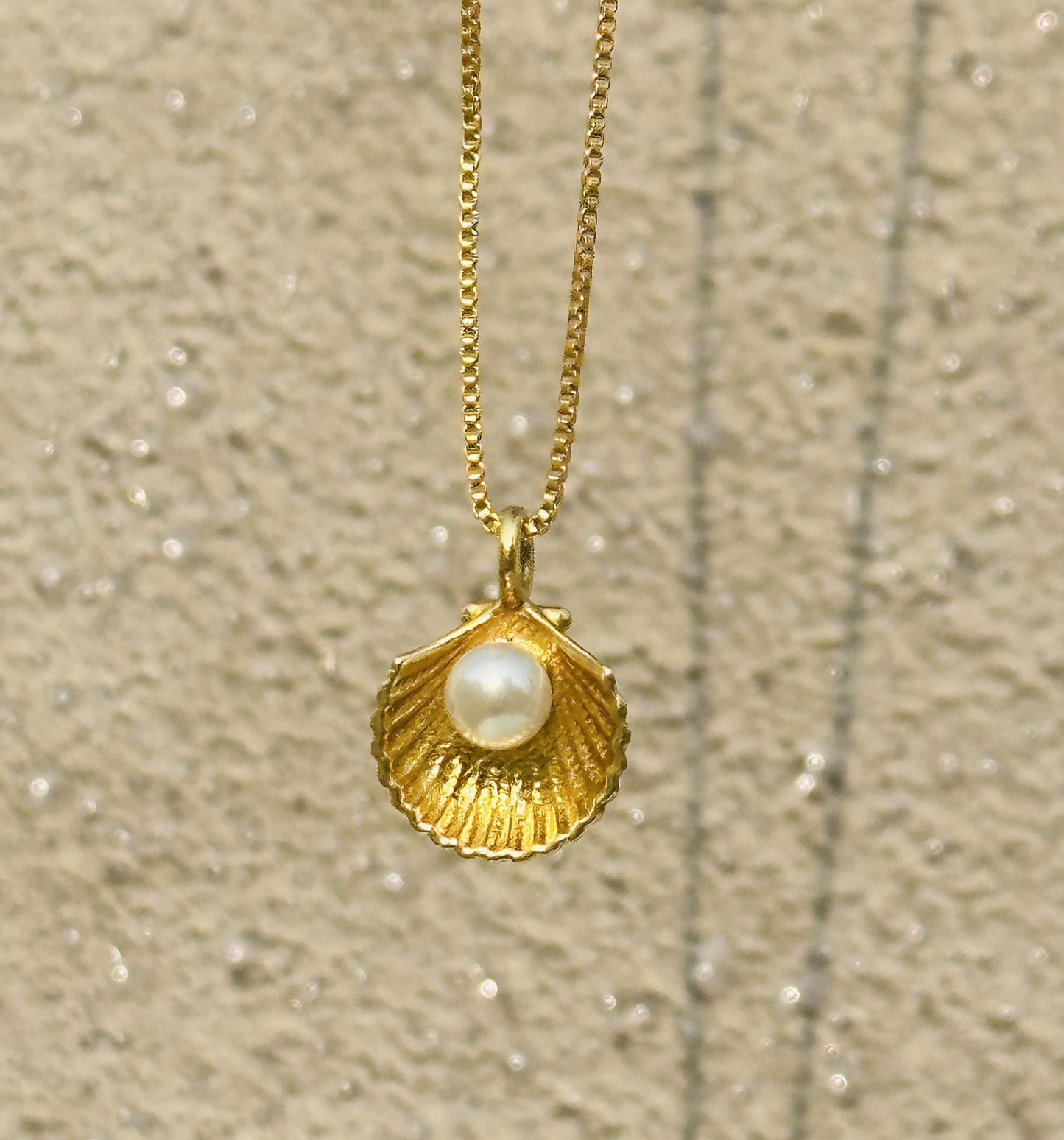 sea shell pendant