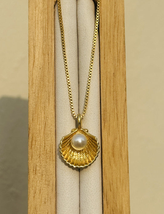 Sea Shell Pendant